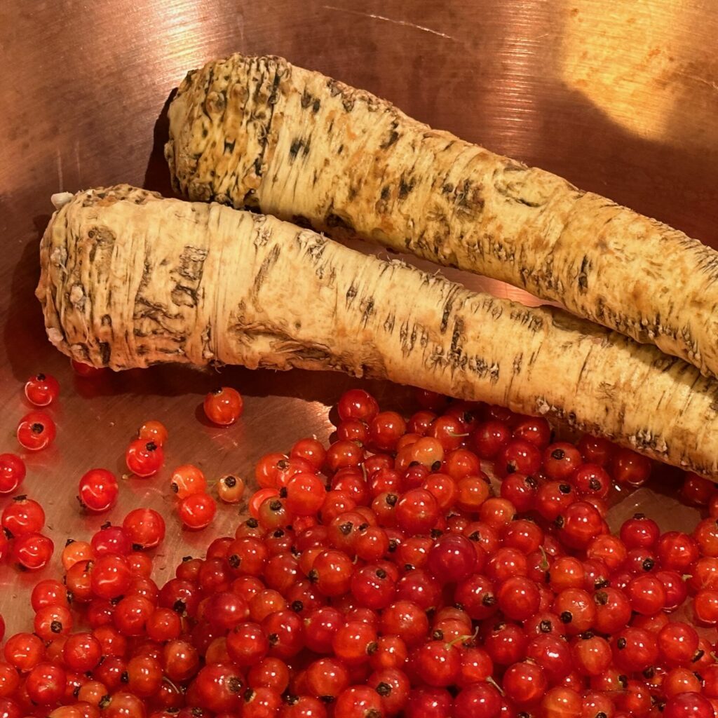 Johannisbeere und Meerrettich